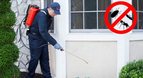 Polatlı Karınca İlaçlama böcek ilaçlama ve haşere kontrolü — ilaclama-tr.com